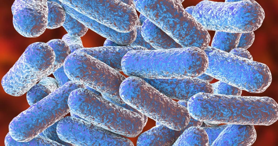 Morganella: 5 objawów infekcji i skuteczne metody leczenia