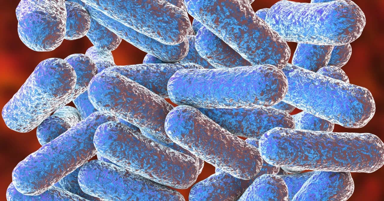 Morganella: 5 objawów infekcji i skuteczne metody leczenia