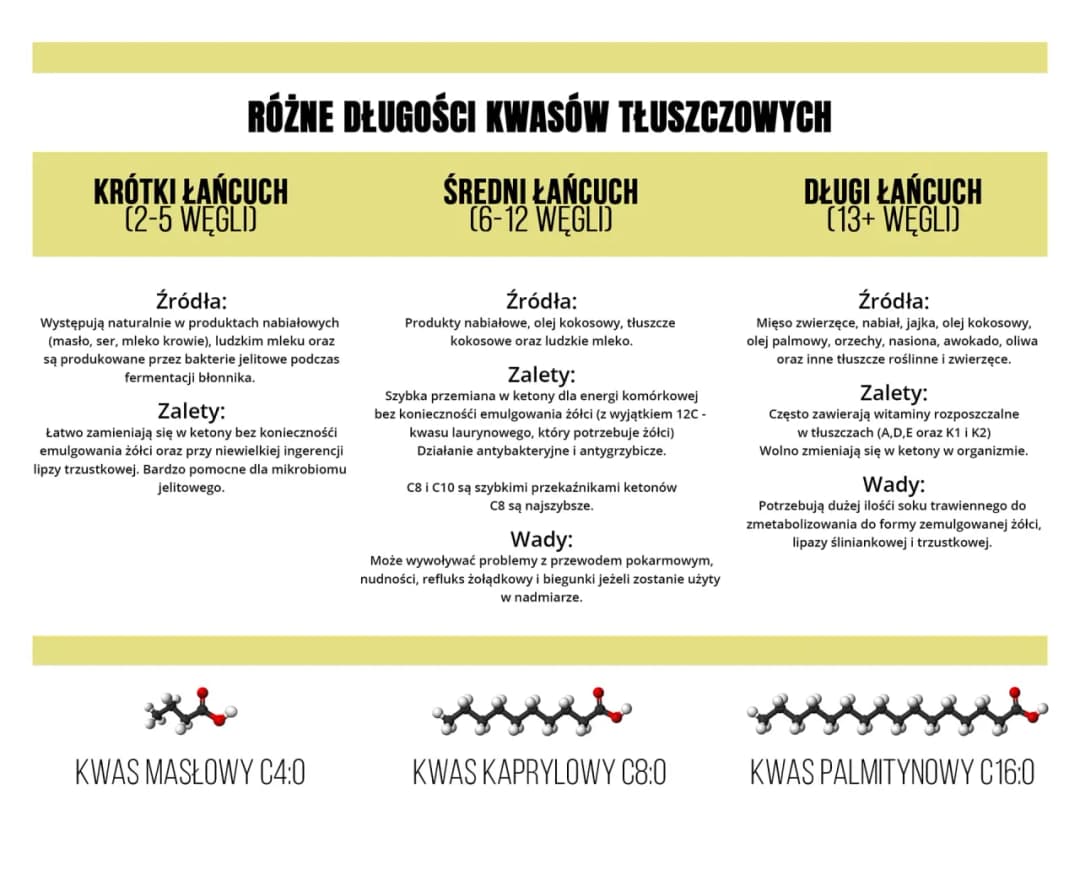 Krótkołańcuchowe kwasy tłuszczowe: 5 korzyści dla zdrowia