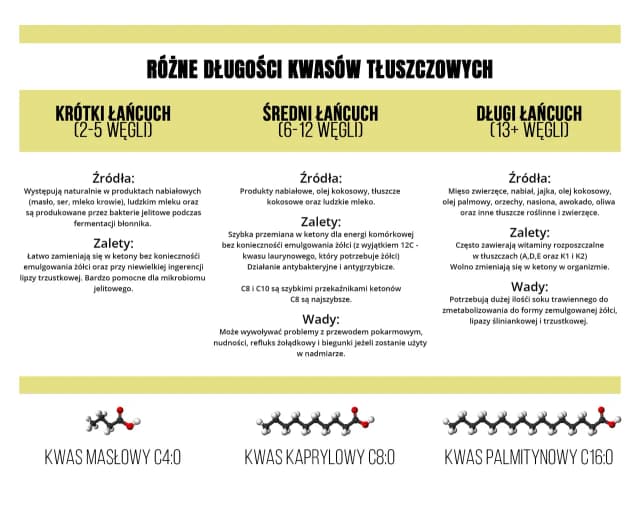 Krótkołańcuchowe kwasy tłuszczowe: 5 korzyści dla zdrowia
