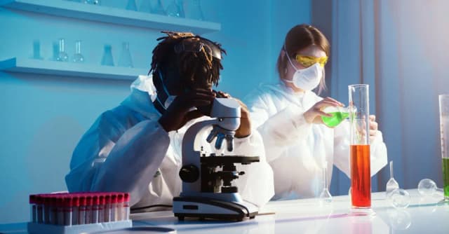 Badanie zonuliny: Co wykrywa i jak się przygotować?