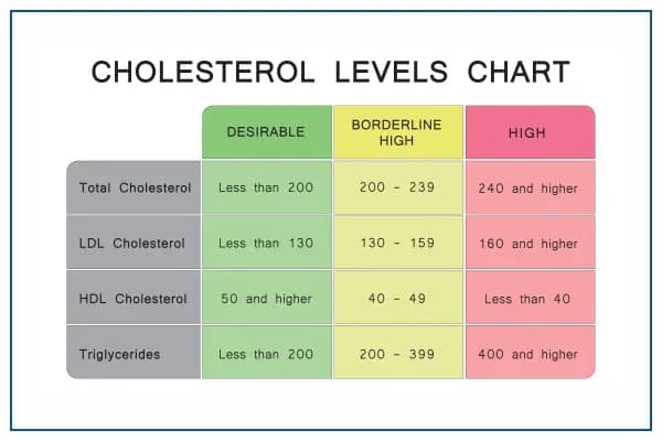 Cholesterol 240 czy to dużo? Dowiedz się, co musisz wiedzieć!