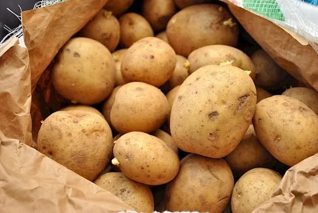 Ile kalorii ma jeden ziemniak - poznaj dokładne wartości dla każdej porcji