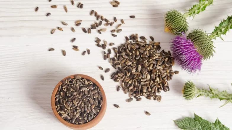 Czy ostropest obniża cholesterol i poprawia zdrowie serca? Zobacz!