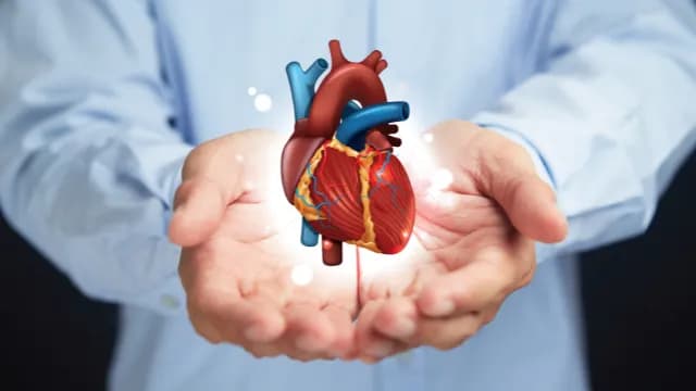 Jak podnieść dobry cholesterol i poprawić zdrowie serca w 7 krokach