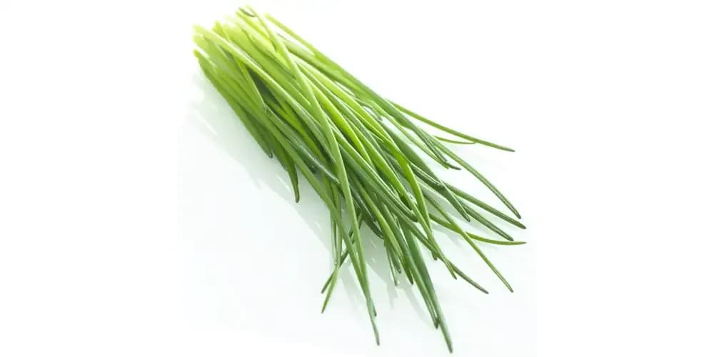 Ile kalorii ma szczypiorek: pełna analiza wartości odżywczych w porcjach